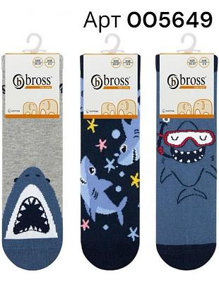Шкарпетки демісезонні дитячі бавовняні для хлопчика bross арт 005649 акула набір 3 шт