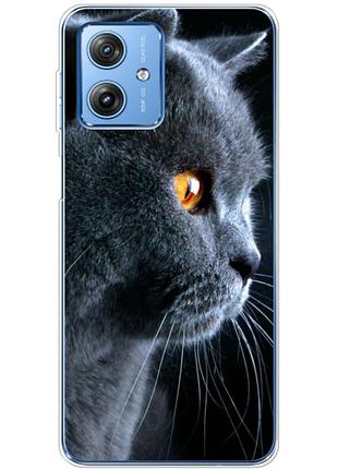 Чехол силиконовый с картинкой на motorola g54 power (британский кот)