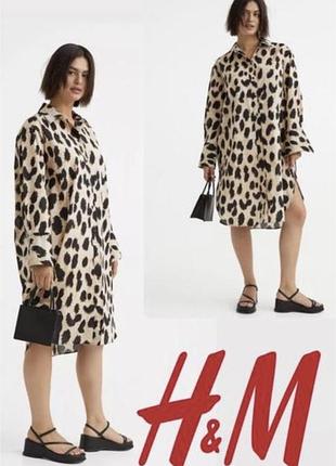 🥰 сукня сорочка в леопардовий принт h&m бавовна