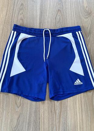 Мужские спортивные шорты adidas climalite