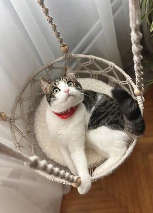 Плетений макраме гамак для кота підвісне ліжечко для котика 4