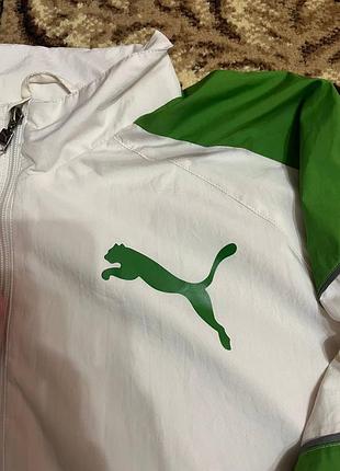 Олимпийка puma 2