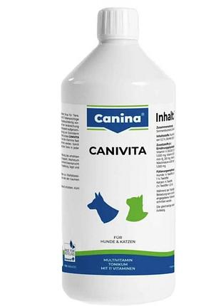Canina canivita - мультивітамінний сироп каніна 100 мл в розлив
