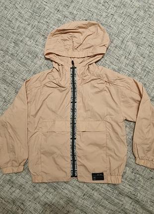 Ветровка zara. размер: 8 р.