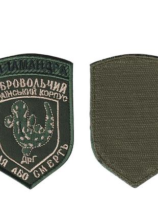 Шеврон військовий / армійський, правий сектор дук саламандра , на оливці зсу. 10 см * 7 см