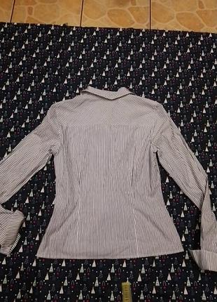 Блуза женская р.1097, hobbs 2
