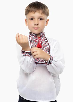 Класична вишиванка для хлопчика з червоно-чорним орнаментом