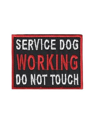 Шеврон военный / армейский, service dog working , на липучке, на черном всу 5 см * 8см