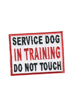 Шеврон военный / армейский, service dog in training , на липучке, на белом всу 5 см * 8см