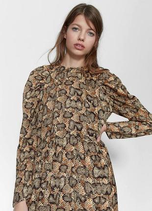 Платье zara xs 5