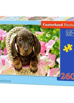 Пазли "мила такса", 260 елементів castorland (54961)