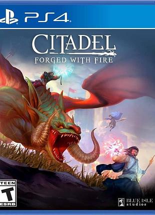 Дисковая версия игры citadel forged with fire ps4