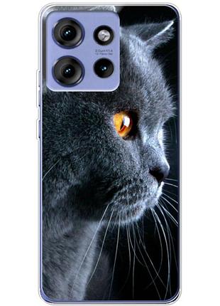 Чехол силиконовый с картинкой на motorola edge 50 (британский кот)