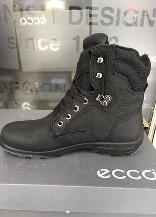 Жіночі зимові черевики ecco voyage gore-tex 204563 110014 фото