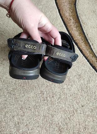 Мужские сандалии ecco 6