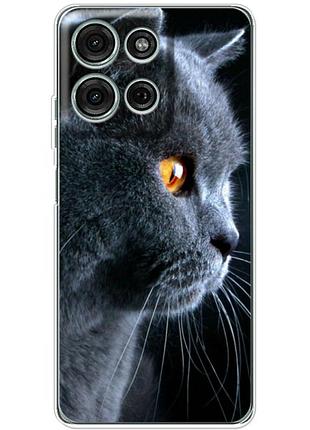 Чехол силиконовый с картинкой на motorola g75 (британский кот)