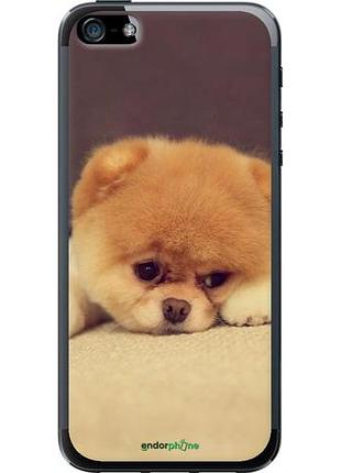 Чехол на iphone 5s boo 2 "890u-21-10746"