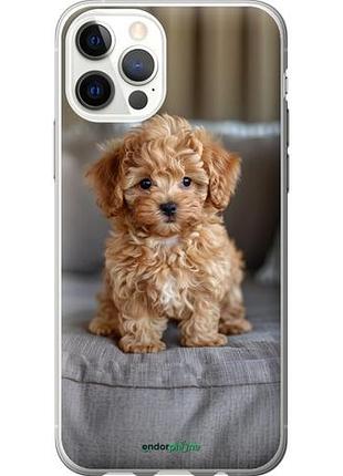 Чехол на iphone 12 pro mini-maltipoo "6158u-2052-10746"