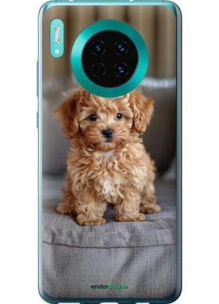 Чехол на huawei mate 30 mini-maltipoo "6158u-1773-10746"