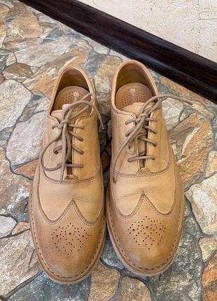 Чоловічі шкіряні туфлі броги кремові, rockport cb wing tip oxford 2