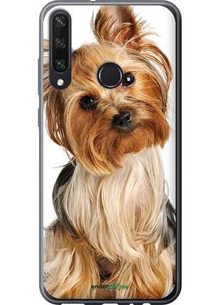 Чохол на huawei y6p йоркширський тер'єр із хвостиком "930u-1952-10746"
