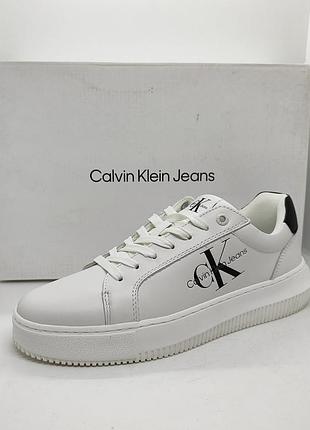 Кожаные кроссовки кеды calvin klein оригинал