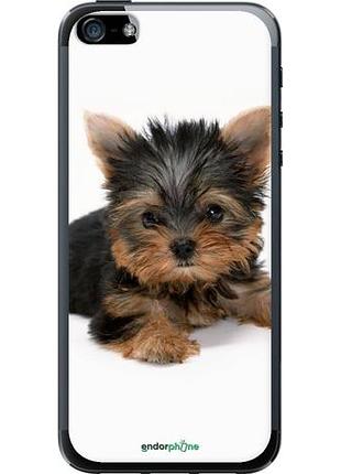Чехол на iphone 5s щенок йоркширского терьера "931u-21-10746"