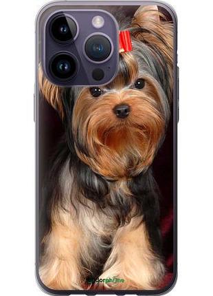 Чохол на iphone 14 pro max йоркширський тер'єр "9293-2667-10746"