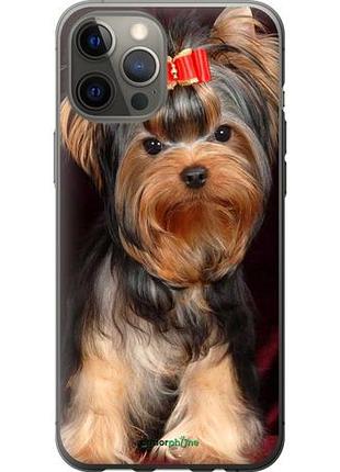 Чохол на iphone 12 pro max йоркширський тер'єр "9293-2054-10746"
