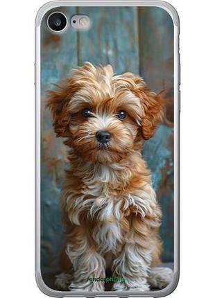 Чехол на iphone se 2020 щенок мальтипу "6157u-2013-10746"