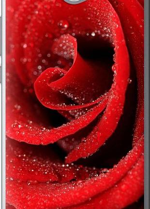 Чехол на huawei y7 2017 красная роза "529u-1019-10746"