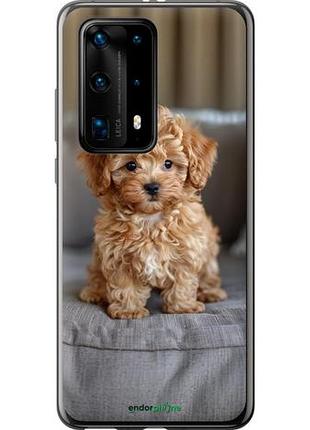 Чехол на huawei p40 pro plus mini-maltipoo "6158u-1917-10746"