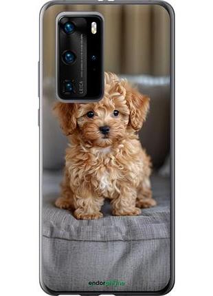 Чехол на huawei p40 pro mini-maltipoo "6158u-1839-10746"