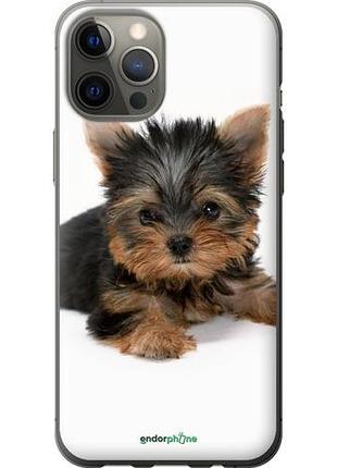 Чохол на iphone 12 pro max цуценя йоркширського тер'єра "931u-2054-10746"