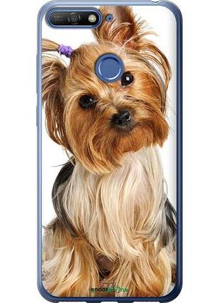 Чехол на huawei honor 7a pro йоркширский терьер с хвостиком "930u-1440-10746"