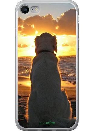 Чехол на iphone se 2022 закат и собака "3966u-3737-10746"