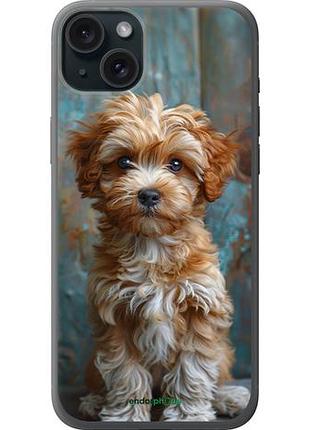 Чехол на iphone 15 plus щенок мальтипу "6157u-3097-10746"