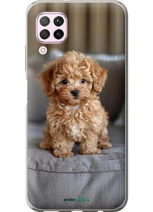 Чехол на huawei nova 6se mini-maltipoo "6158u-1823-10746"