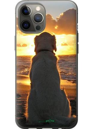 Чехол на iphone 12 pro max закат и собака "3966u-2054-10746"