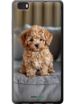 Чехол на huawei ascend p8 lite mini-maltipoo "6158u-126-10746"