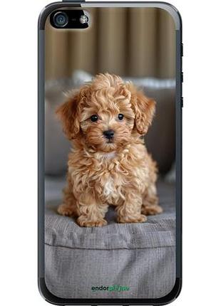 Чехол на iphone 5 mini-maltipoo "6158u-18-10746"