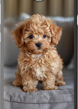 Чехол на huawei y5 ii mini-maltipoo "6158u-496-10746"