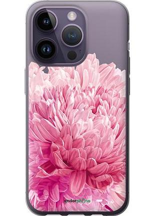 Чехол на iphone 14 pro хризантема "4666u-2646-10746"