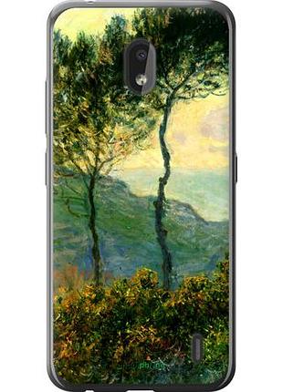 Чехол на nokia 2.2 клод моне "1193u-1706-10746"