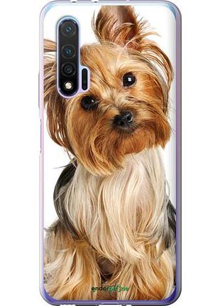 Чехол на huawei nova 6 йоркширский терьер с хвостиком "930u-1821-10746"
