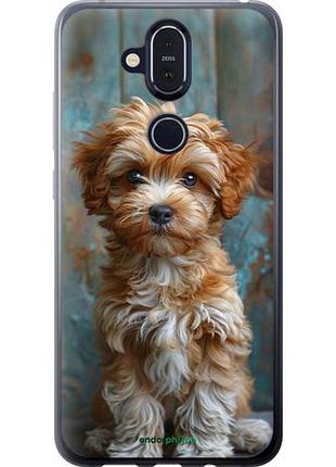 Чехол на nokia 8.1 щенок мальтипу "6157u-1620-10746"