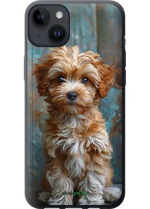 Чехол на iphone 14 plus щенок мальтипу "6157u-2645-10746"