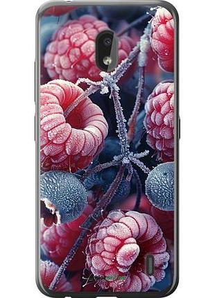 Чохол на nokia 2.2 морозні ягоди "6033u-1706-10746"