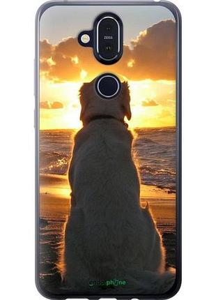Чохол на nokia 8.1 захід і собака "3966u-1620-10746"