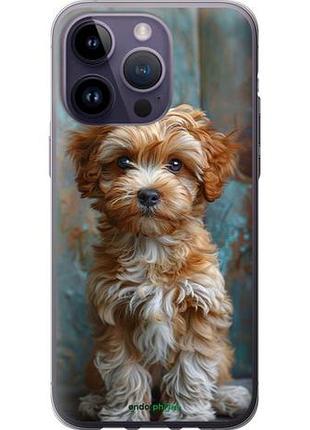 Чехол на iphone 14 pro max щенок мальтипу "6157u-2667-10746"